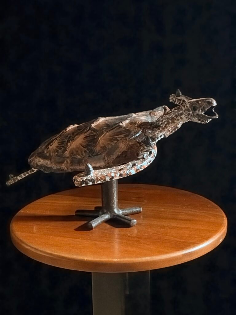 Sea Turtle